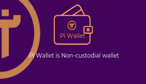 Ví Pi Network bất khả xâm phạm